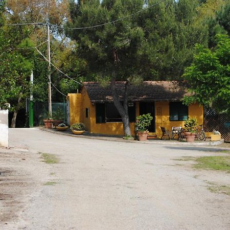 Camping Village Canapai Rio Marina Kültér fotó